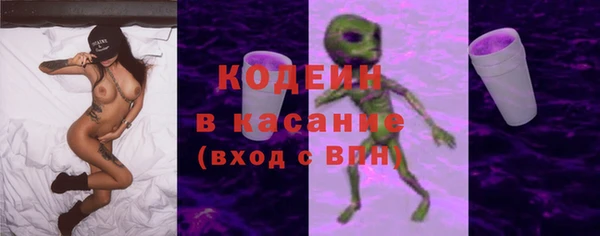 шишки Елизово