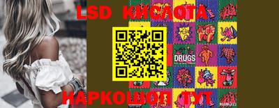 MDMA Гатчина