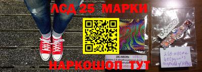 MDMA Гатчина