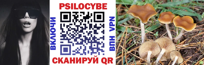 Псилоцибиновые грибы мухоморы  купить   Белая Калитва 