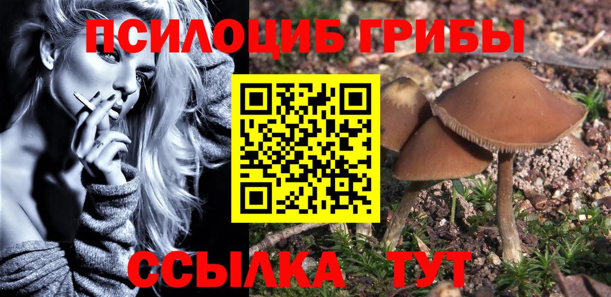 Псилоцибиновые грибы ЛСД Белая Калитва